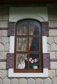 Нарисованое окно